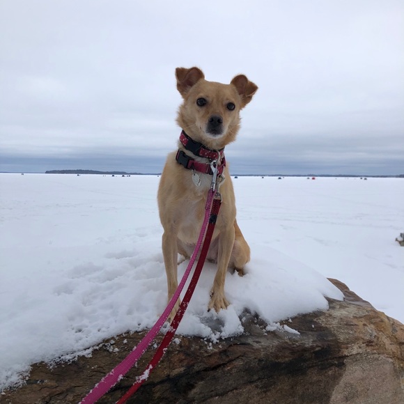 Meet your Posher, Meagan - Picture 1 of 1